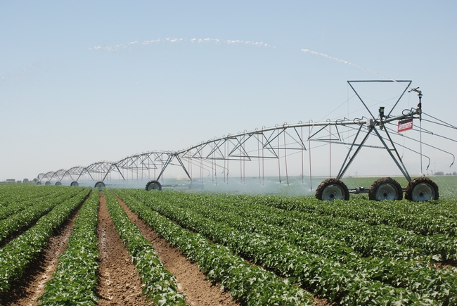 Overhead irrigation systems is one of the promising techniques being used in conservation agriculture systems.