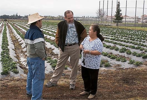 Michael Yang, left, and Richard Molinar advise a small-scale farmer.