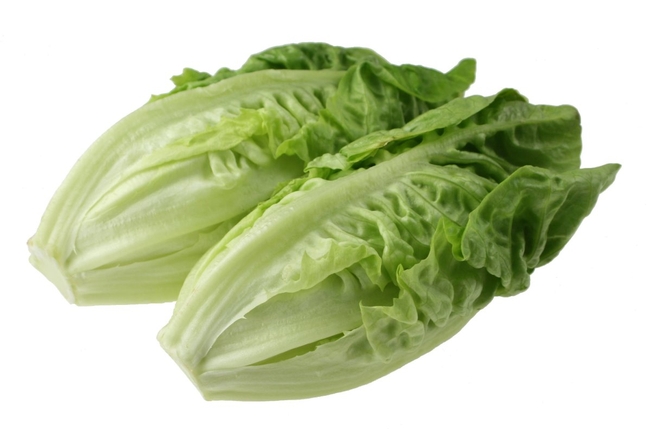 Officials believe romaine lettuce contaminated with E. coli O157:H7 is responsible for recent illnesses and two deaths in the U.S. and Canada.