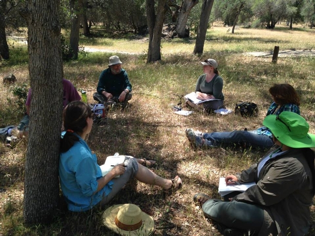 The California Naturalist training involves both classroom and field sessions.