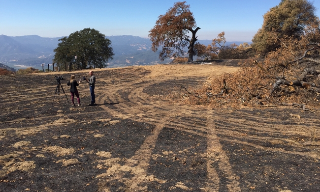 Sara Stinson of KRON4 News interviewed John Bailey about the impact of the River Fire on UC Hopland REC.