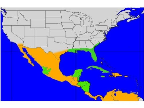 North American distribution of ACP is in orange; areas with ACP and HLB are in green.