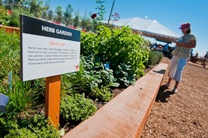 An herb garden in the Farm & Food Lab in Orange County.