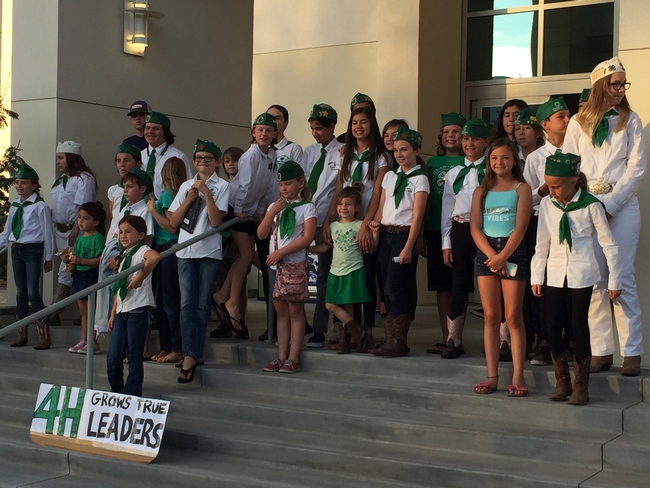 4-H members made a strong showing at the Riverside Board of Supervisors meeting. (Photo: Jose Aguiar)