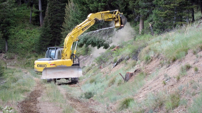 Excavator clears understory vegetation as part of a fuel break. (Photo: USDA)