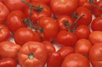 Tomatoes contain healthful nutrients.