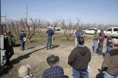 Farm advisors introduce peach producers to new thinning technology.