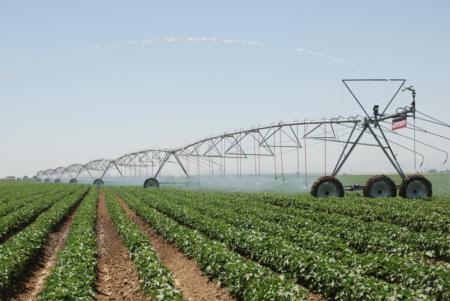 More savings can be realized by combining overhead irrigation with conservation tillage.