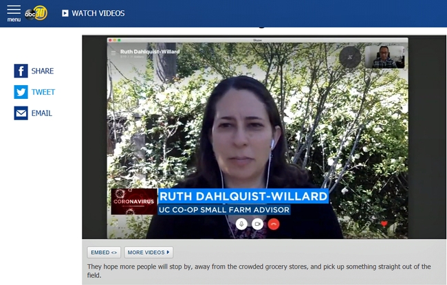 UCCE advisor Ruth Dahlquist-Willard speaks remotely with ABC 30 News.