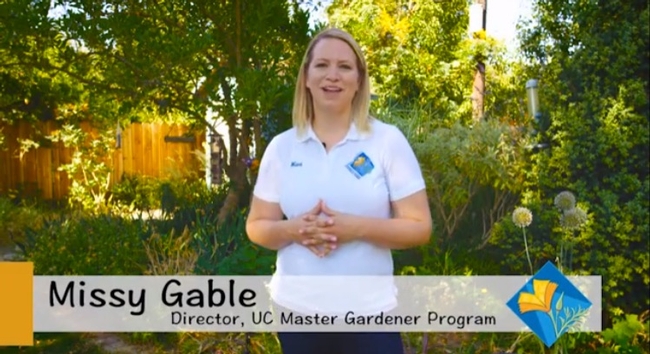 Missy Gable talked with Fast Company about how to grow a vegetable garden.