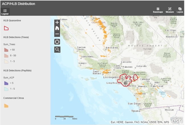 The two red-outlined areas show the ACP and HLB quarantine areas in Southern California. (Screen shot taken Aug. 13, 2020. For updated information, see https://ucanr.edu/sites/ACP/Distribution_of_ACP_in_California/)