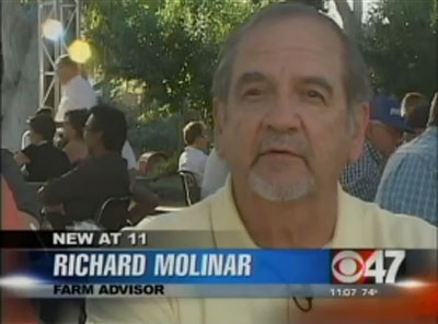 UCCE farm advisor Richard Molinar speaks about melon fly on the CBS Channel 47 news.