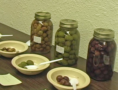 Garden writer steers readers to UCCE for olive curing advice.