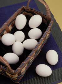 Egg industry faces change.