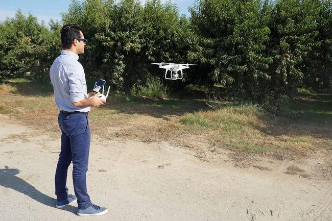UC Cooperative Extension specialist Ali Pourreza flies a drone in an orchard. High-speed broadband at Kearney Research and Extension Center will make it easier for researchers to collect and share data.