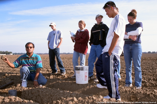 Agriculture majors are eligible for UC ANR scholarships, including one to study soil improvement.