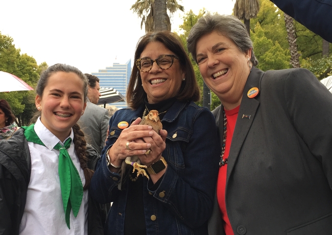 Assemblymember Cecilia Aguiar-Curry, center, holds the hen of Bella Albiani of the Sheldon 4-H club while talking with her and Glenda Humiston.