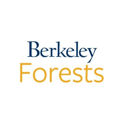 Logotype of Berkeley Forests