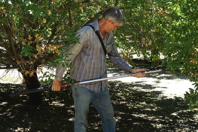 Blake Sanden developed salt tolerance thresholds for high-production California pistachios in the San Joaquin Valley.