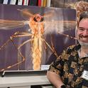 Medical entomologist-geneticist Geoffrey Attardo will present a May 15th seminar sponsored by the Center for Land-Based Learning, Woodland. (Photo by Kathy Keatley Garvey)