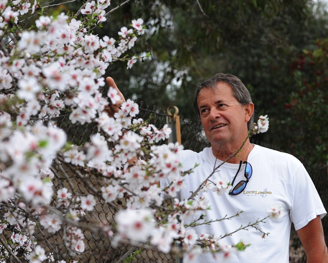 Benicia resident Gordon Hough stops to check for honey bees at the Benicia State Park. (Photo by Kathy Keatley Garvey)