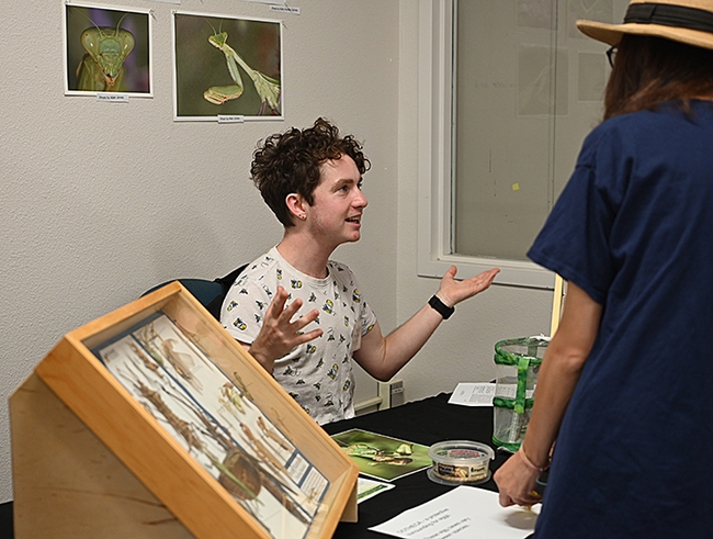 Skylar Primavera, who studied praying mantises while attending UC Santa Barbara (bachelor's degree in biology, 2020) displayed a live mantis and life-cycle models (from the ootheca, the egg case, to the adult), and answered questions about the insect. (Photo by Kathy Keatley Garvey)