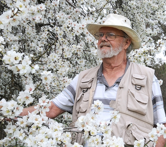 The legendary Robbin Thorp in front of an almond tree on Bee Biology Road, UC Davis campus. (Photo by Kathy Keatley Garvey)