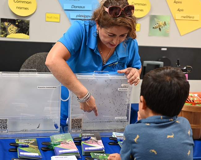 Luz Maria Robles, public information officer, Sacramento-Yolo Mosquito and Vector Control, points out live mosquitoes. (Photo by Kathy Keatley Garvey)