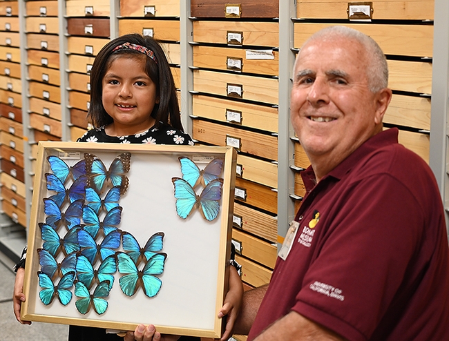 Alina Franco, 11, of Woodland, was eager to see the morpho butterflies at the Bohart Museum. With her is entomologist Jeff Smith, curator of the Lepidoptera collection. (Photo by Kathy Keatley Garvey)