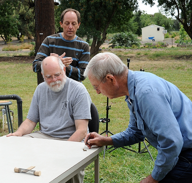 UC Davis emeritus professor Norm Gary (far right) working with Kim Flottum (seated) on a television project in 2010 at UC Davis. In back is a member of the TV crew. (Photo by Kathy Keatley Garvey)