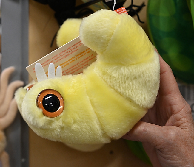 A yellow bookworm, (Anobium punctatum) toy plush animal is a favorite at the Bohart Museum gift shop. (Photo by Kathy Keatley Garvey)