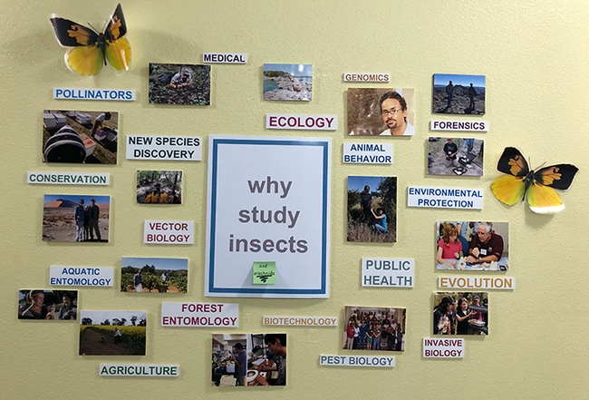 A poster outside the Bohart Museum of Entomology, located in the Academic Surge Building, 455 Crocker Lane, UC Davis. (Photo by Kathy Keatley Garvey)
