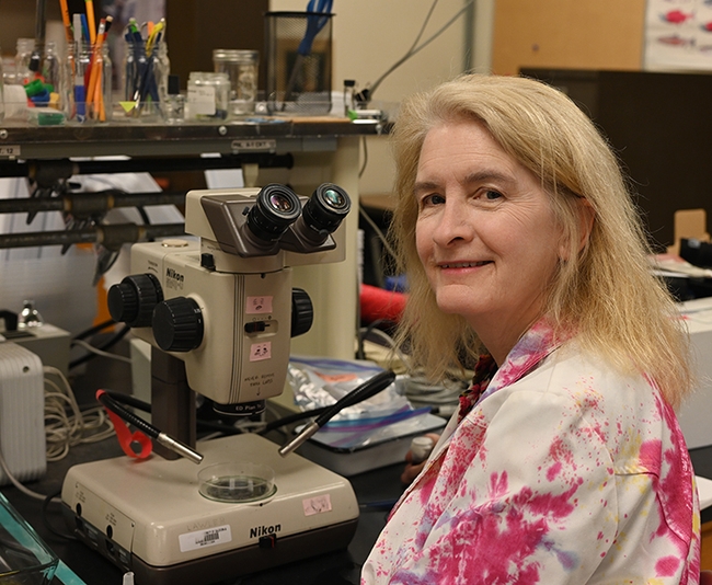 UC Davis Professor Emerita Sharon Lawler in her lab. (Photo by Kathy Keatley Garvey)