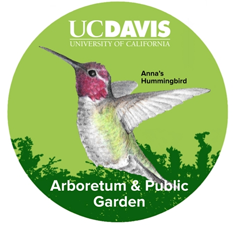 Arboretum and Public Garden: A hummingbird logo