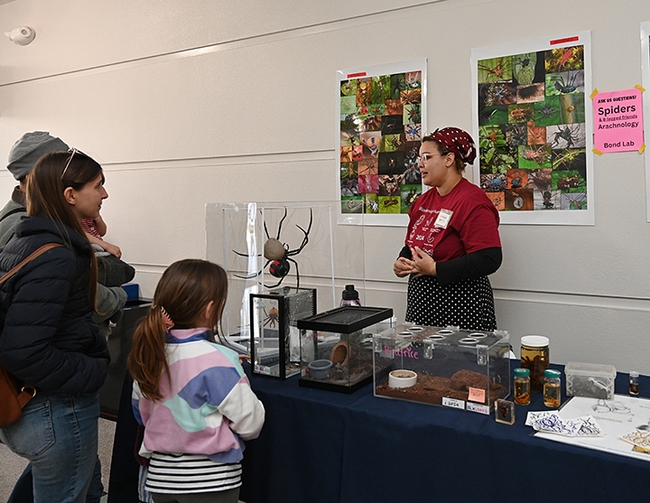Doctoral student Iris Quayle of the Jason Bond lab answers questions about spiders at the Biodiversity Museum Day at the Bohart Museum of Entomology. (Photo by Kathy Keatley Garvey)