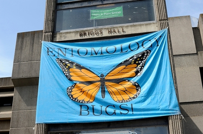 A monarch banner beckons visitors to Briggs Hall, home of the UC Davis Department of Entomology and Nematology. (Photo by Kathy Keatley Garvey)