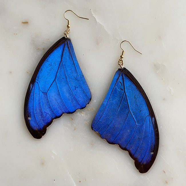 Earrings that Marielle Hansel Friedman created with ethically sourced morpho butterflies.