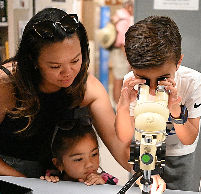Kai Nacua, 9, peers at a bee through a microscope as his sister Kwynn, 5, waits her turn. With them is their mother Kim Nases. The family, from Vacaville, enjoyed the Bohart Museum open house. (Photo by Kathy Keatley Garvey)