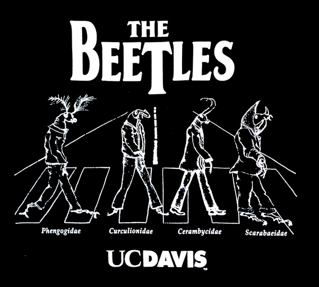 Close-up of The Beetles t-shirt, one of the t-shirts that the late Jeremy Nichol McNeil treasured. It is all-time favorite created and sold by the UC Davis Entomology Graduate Student Association.