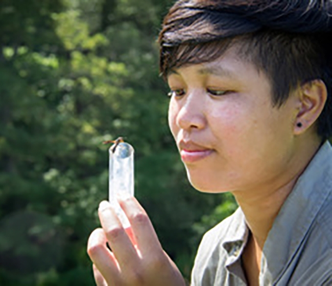 RJ Millena with a wasp. (Photo by Kathy LaPoint of Black Rock Forest)