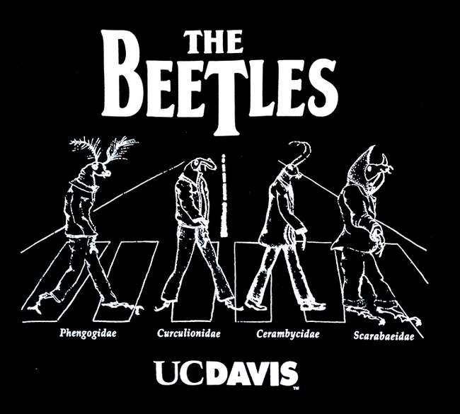 This is one of the UC Davis Entomology Graduate Student Association's best selling T-shirt, and it's popular across the pond, too.