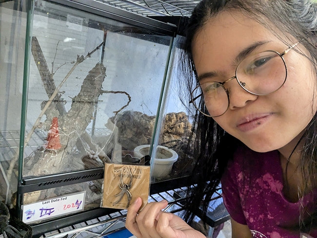 Bohart Museum of Entomology student intern Jasmine Chow holds a spider pin from the  museum's gift shop.