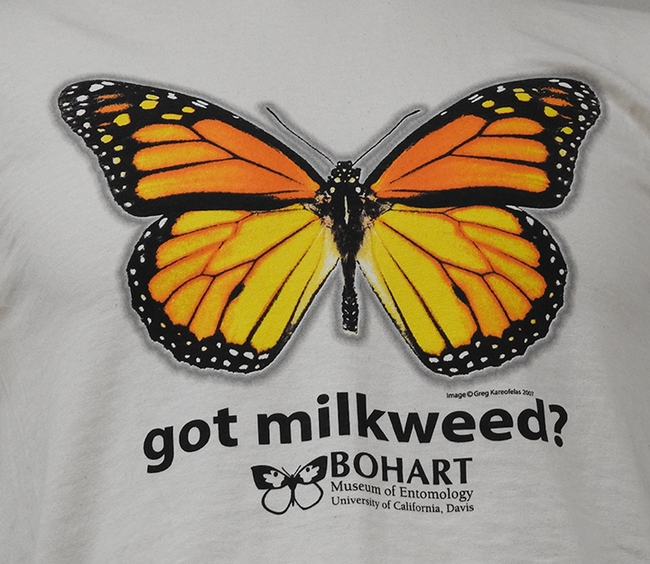 Monarch-themed t-shirts are available in the Bohart Museum's gift shop. (Photo by Kathy Keatley Garvey)