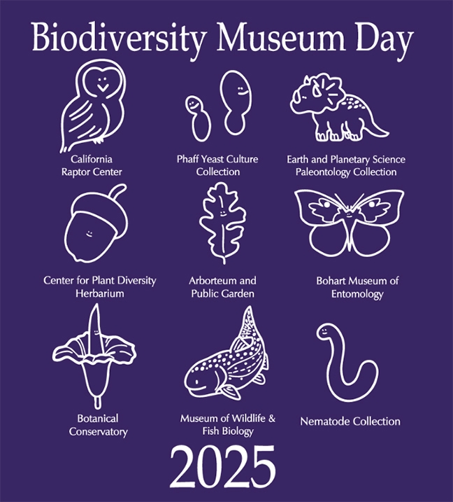 The UC Davis Biodiversity Museum Day scientists and volunteers will be wearing purple T-shirts that feature the nine museums or collections.