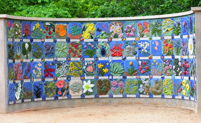 Nature's Gallery, a mosaic mural celebrating insects and plants, is now at home in the Storer Garden, UC Davis Arboretum, on Garrod Drive. (Photo by Kathy Keatley Garvey)