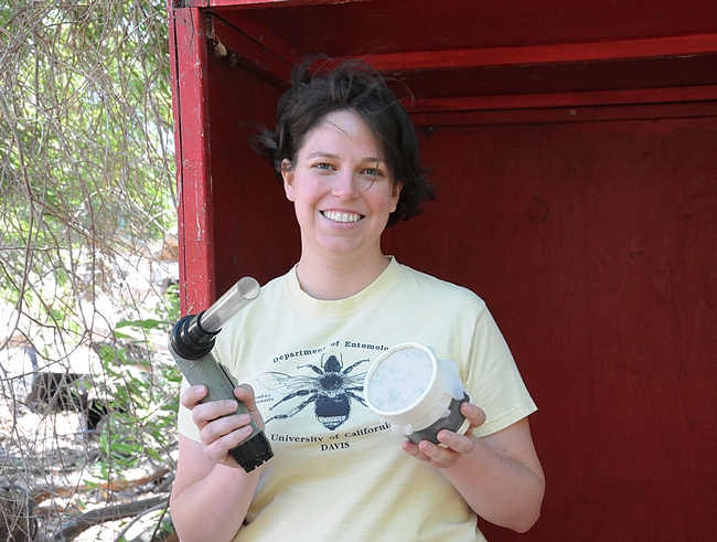 Tara Thiemann is researching bloodfeeding patterns of Culex mosquitoes. (Photo by Kathy Keatley Garvey)