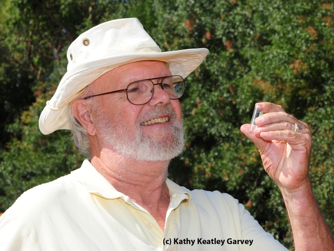 Native pollinator specialist Robbin Thorp is a retired UC Davis professor, but continues his full-time research.  (Photo by Kathy Keatley Garvey)
