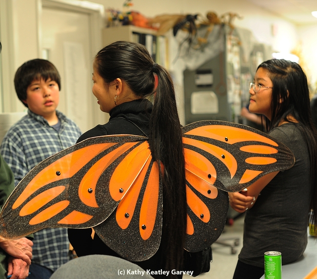 Maia Lundy of Davis Senior High School, an intern at the Bohart Museum of Entomology, spreads her monarch wings. At left is James Heydon, 11, of Davis. (Photo by Kathy Keatley Garvey)