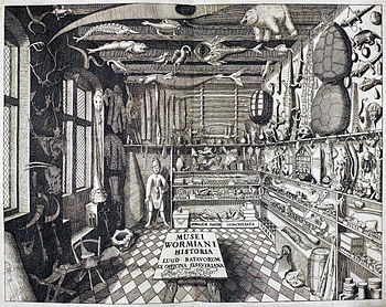 Cabinet of Curiosity: Musei Wormiani Historia (Courtesy of Wikipedia)