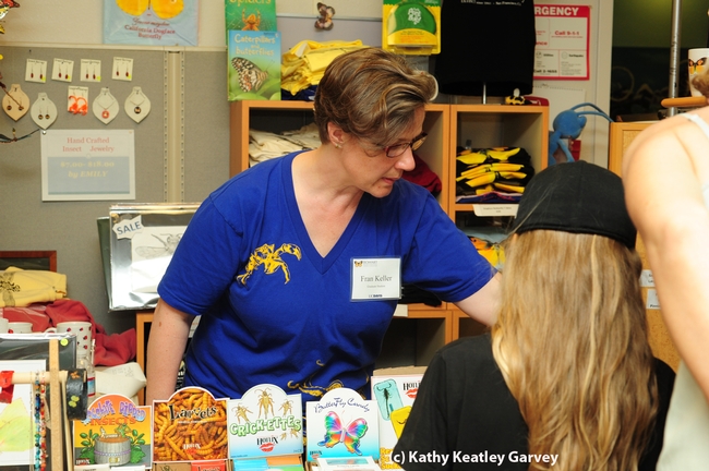 Fran Keller, doctoral candidate in entomology, helps out in the Bohart Museum's gift shop. (Photo by Kathy Keatley Garvey)